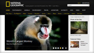 哪个平台安全的ddos接单平台